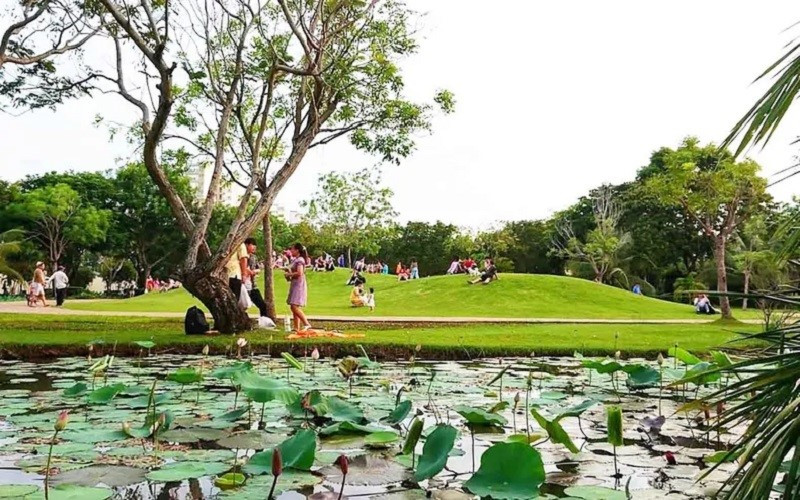 Thành phố đông dân nhất cả nước có thêm công viên 27 tỷ đồng, thiết kế độc nhất vô nhị trên 'khu đất ao cá' - ảnh 2