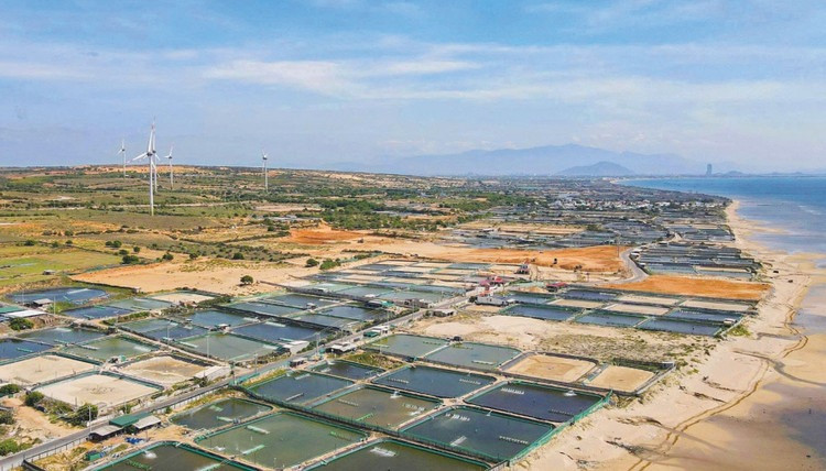 Nhà máy điện hạt nhân đầu tiên của Việt Nam có đề xuất mới giữa lúc gặp khó- Ảnh 2.