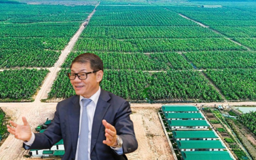 Công ty của ông Trần Bá Dương xúc tiến loạt dự án quy mô 11.000 tỷ