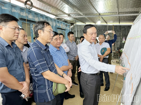 Tuyến cao tốc gần 15.000 tỷ sở hữu cây cầu có nhịp dây văng dài nhất Việt Nam đón tín hiệu tích cực- Ảnh 2.