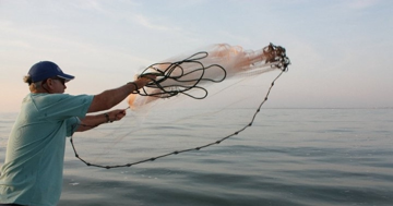 Cổ phiếu Masan (MSN) tăng trần, khối ngoại mua ròng mạnh nhất 3 tháng