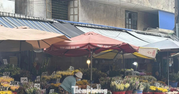 'Vựa hoa tươi' lớn nhất TPHCM trước thềm 20/10