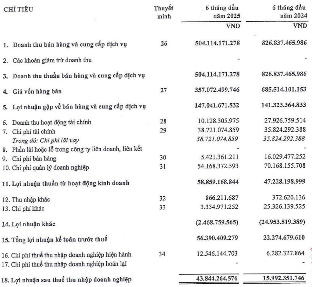 Công ty bất động sản có 'bóng dáng' của Shark Hưng hiện kinh doanh thế nào?- Ảnh 1.