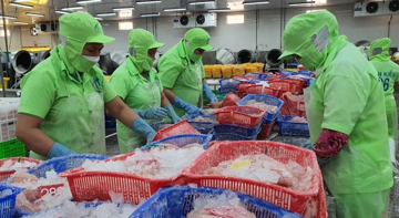 Xuất hiện thị trường trọng điểm mới của cá tra Việt