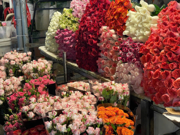 'Thủ phủ hoa' của Hà Nội nhộn nhịp trước 20/10: Tiểu thương không có kịp ngủ, bán từ sáng đến đêm