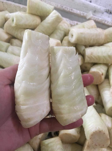 Từ phần gốc tưởng bỏ đi, nay thành đặc sản lạ miệng dân thành phố săn lùng giá 75.000 đồng/kg