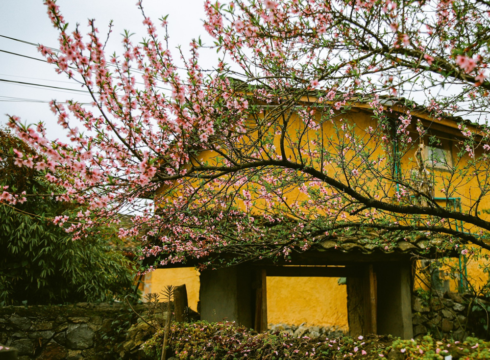 Việt Nam vừa có thêm làng du lịch tốt nhất thế giới 2025 - ảnh 6