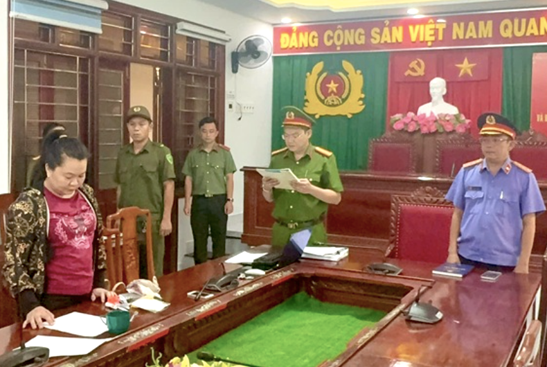 Khám xét nơi ở, bắt Hồ Thị Mỹ Hạnh sinh năm 1978 - ảnh 1