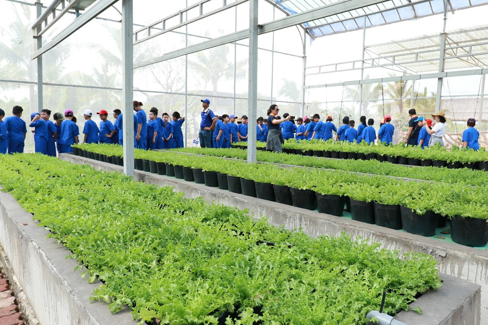 Từ giờ, học sinh đến KDL Đại Nam có thể nhận được ‘món quà’ đặc biệt - ảnh 1