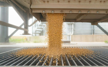 Trung Quốc 'giáng đòn' trực diện vào 'hạt vàng' đem lại nguồn thu khổng lồ cho Mỹ, ông Trump tức giận lên tiếng