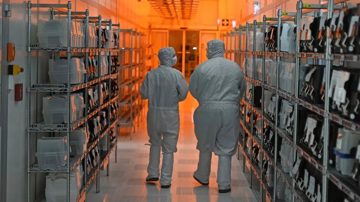 Công ty chip vô danh trở thành nạn nhân của thương chiến, có thể khiến ngành ô tô toàn cầu tê liệt