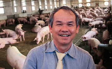 'Chân ái' heo ăn chuối bị bầu Đức cho vào dĩ vãng: Làm ăn thua lỗ, chỉ còn đóng góp tượng trưng