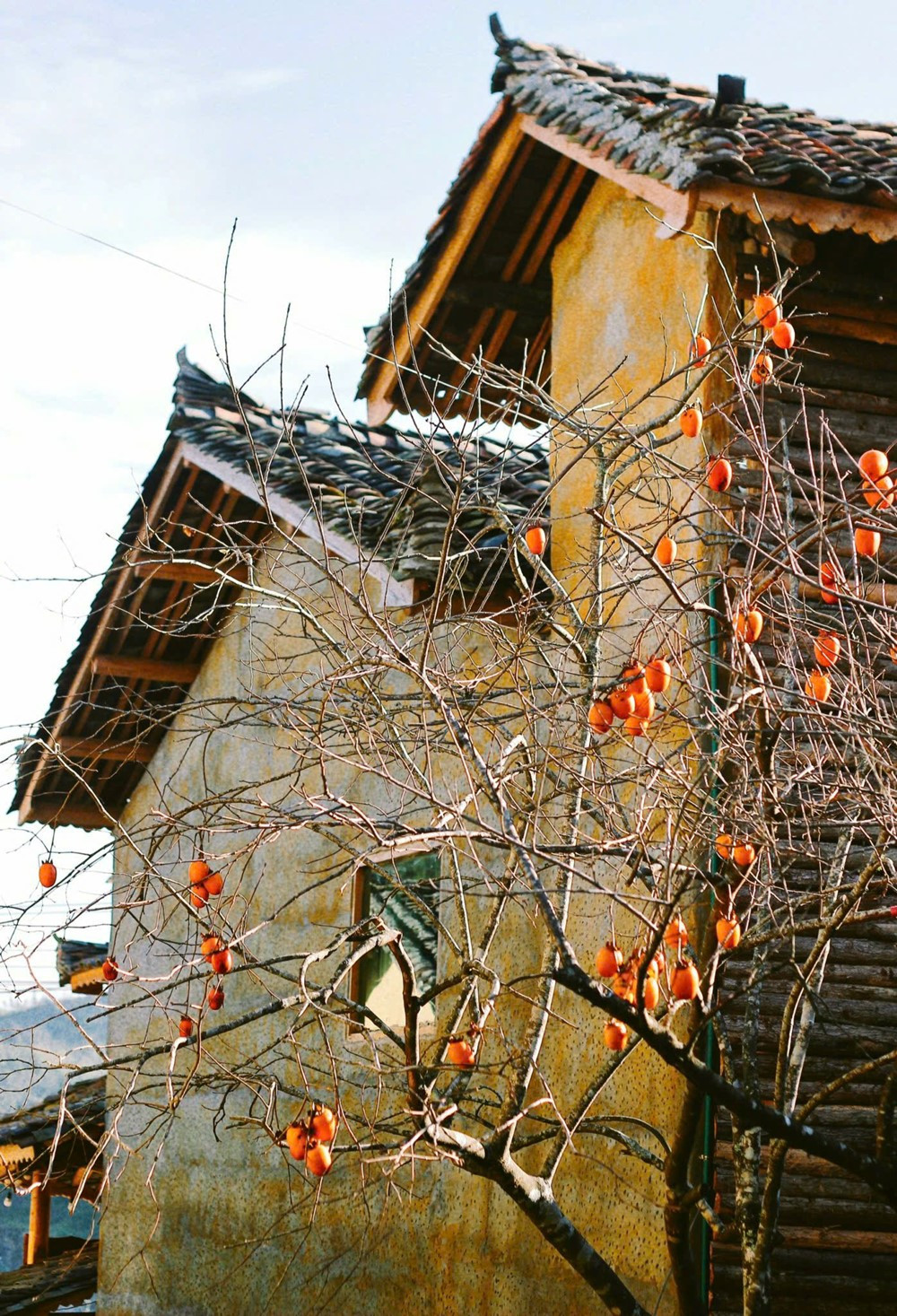 ‘Làng du lịch tốt nhất thế giới’ của Việt Nam: Từ bản nghèo vùng biên viễn thành 'làng cổ tích' nổi tiếng toàn cầu - ảnh 4