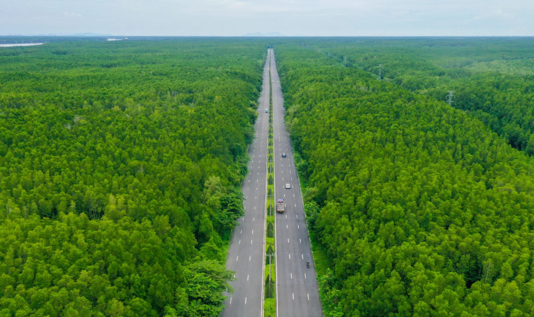 Con đường xuyên rừng 6 làn xe tại thành phố giàu nhất Việt Nam, là tuyến độc đạo kết nối với vùng biển Cần Giờ- Ảnh 1.