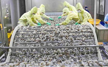 'Báu vật dưới nước' vừa mang về cho Việt Nam hơn 3,4 tỷ USD: Công nghệ chế biến hàng đầu thế giới, Mỹ - Trung - Nhật tranh nhau đặt hàng