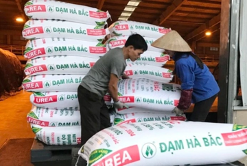 Đạm Hà Bắc (DHB) báo lỗ 96 tỷ đồng trong quý III, sản lượng lao dốc vì phải ngừng máy dài ngày