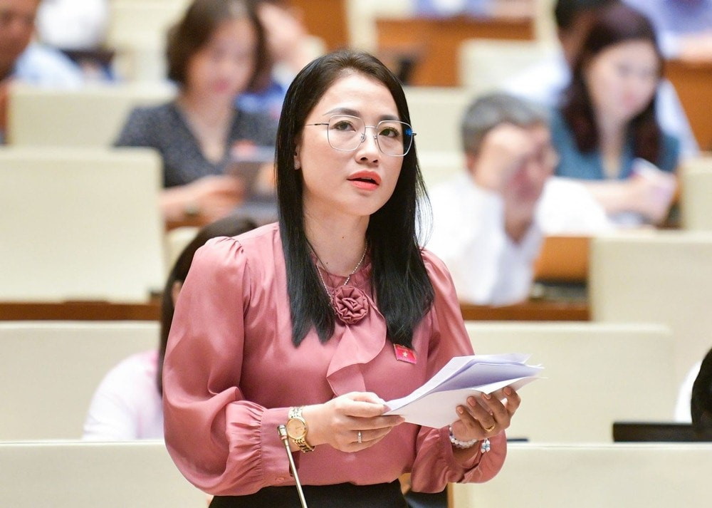 ĐBQH đề xuất trả lương từ ngân sách và miễn học phí cho bác sĩ nội trú - ảnh 2