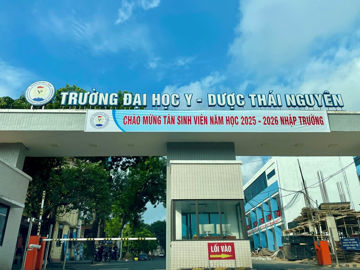 Sáp nhập 2 trường cao đẳng vào 2 trường đại học