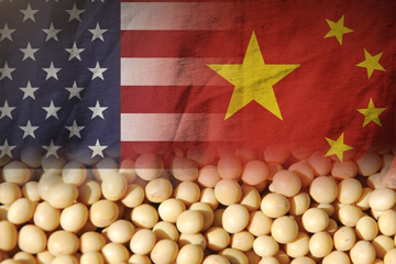 Trung Quốc tung đòn lặng lẽ khiến hàng triệu tấn hàng ế ẩm: Mỹ 'thua trắng' trên mặt trận mới?