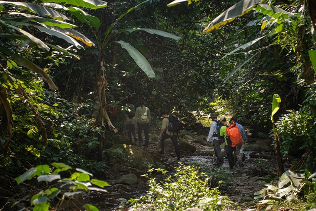 ‘Kho báu’ 500 tuổi nằm giữa Vườn Quốc gia nổi tiếng của Việt Nam sắp mở cửa đón khách - ảnh 2