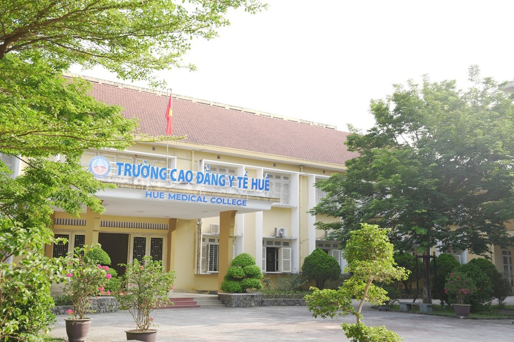 Sáp nhập 2 trường cao đẳng vào 2 trường đại học - ảnh 2