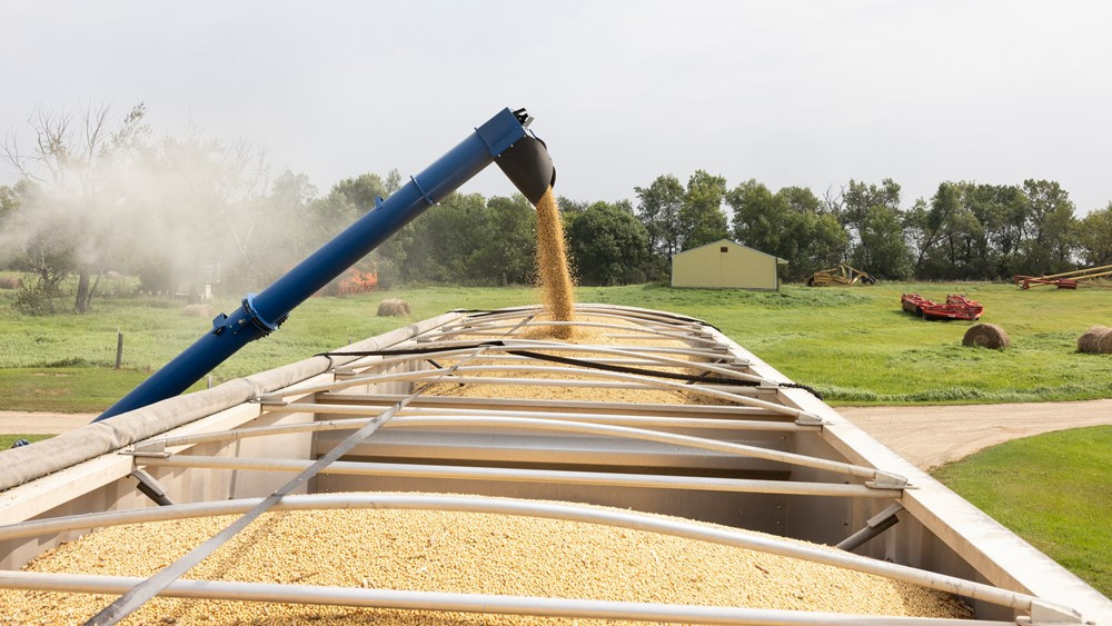 Trung Quốc tung đòn lặng lẽ khiến hàng triệu tấn hàng ế ẩm: Mỹ 'thua trắng' trên mặt trận mới? - ảnh 2