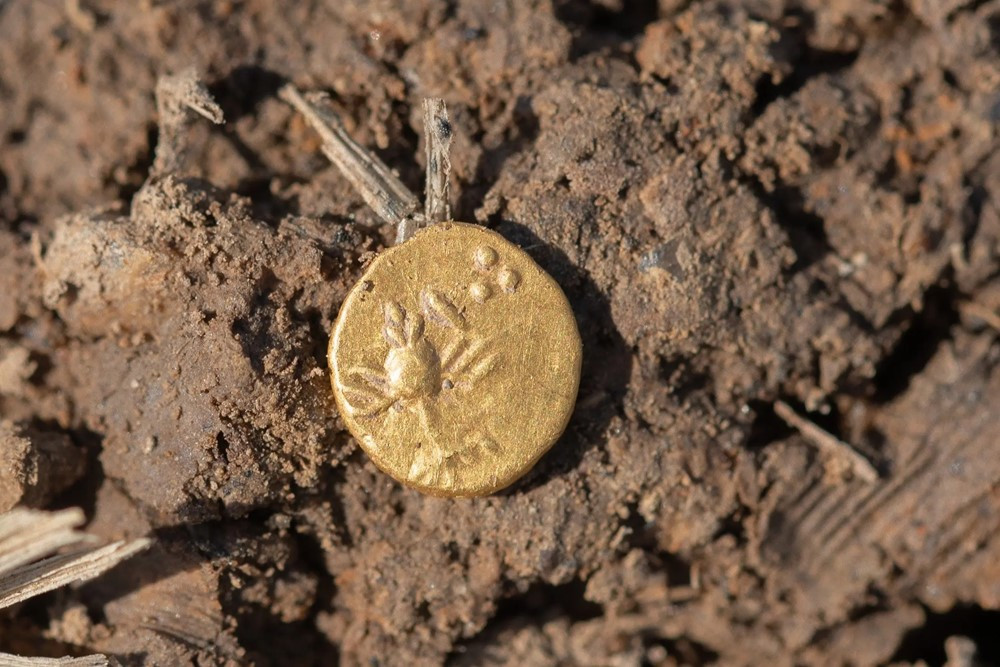 Phát hiện kho báu chứa 500 đồng tiền vàng, 80 món đồ trang sức trên cánh đồng - ảnh 1