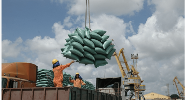 EU siết thẩm định chuỗi cung ứng, doanh nghiệp Việt cần nắm rõ để tránh mất đơn hàng