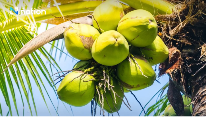 Thái Lan khủng hoảng, Việt Nam hưởng lợi từ mặt hàng tỷ đô - ảnh 3