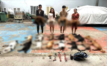 Bắt giữ khẩn cấp chủ lò mổ Phạm Thị Liên