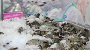 Trung Quốc, Mỹ mê mẩn một 'mặt hàng vàng' của Việt Nam: 9 tháng thu hơn 3,4 tỷ USD, Nhật Bản – Hàn Quốc cũng đua nhau đặt mua