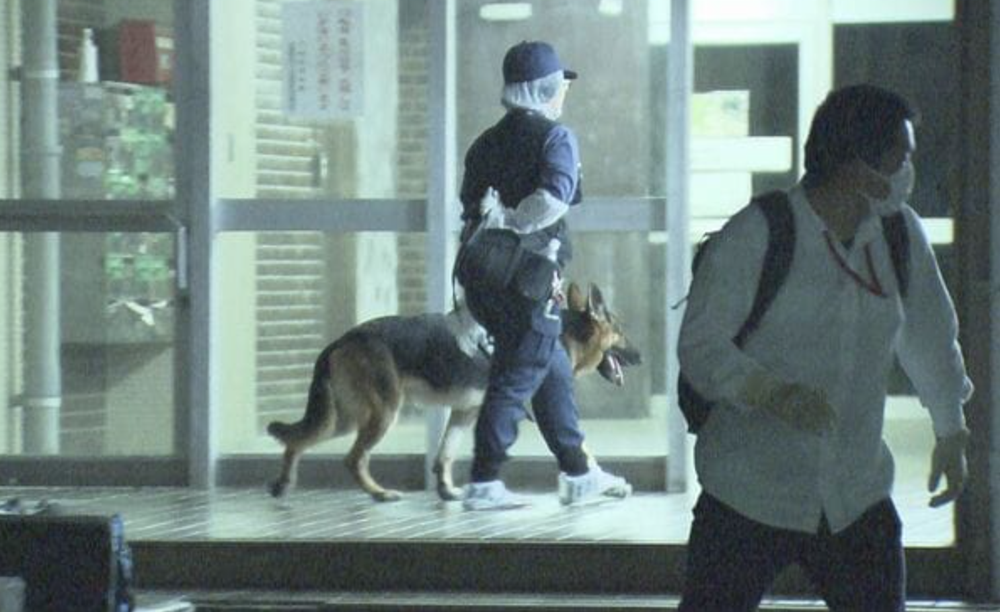 Chân dung nữ thực tập sinh người Việt bị bắt, nghi sát hại đồng hương tại Nhật Bản - ảnh 2