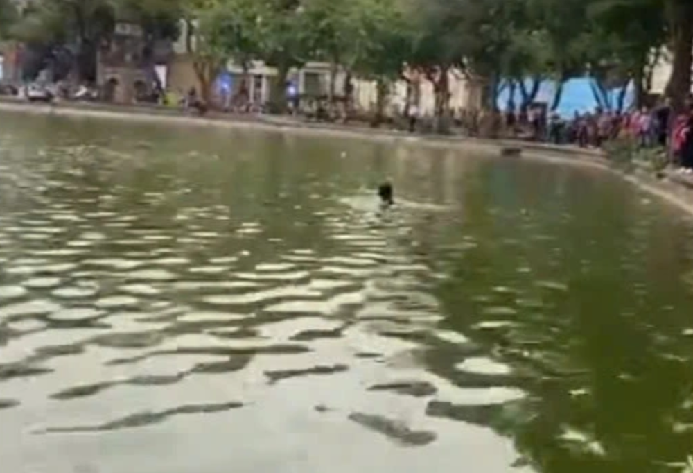 Thông tin mới nhất vụ cô gái tử vong bất thường ở hồ Hoàn Kiếm - ảnh 1