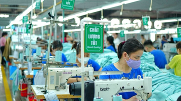 Công ty liên kết của TNG giải thể sau khi giảm vốn từ 300 tỷ xuống còn 60 triệu đồng