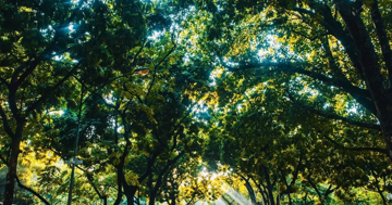 Miền Bắc tăng nhiệt mạnh, miền Trung vẫn mưa như trút