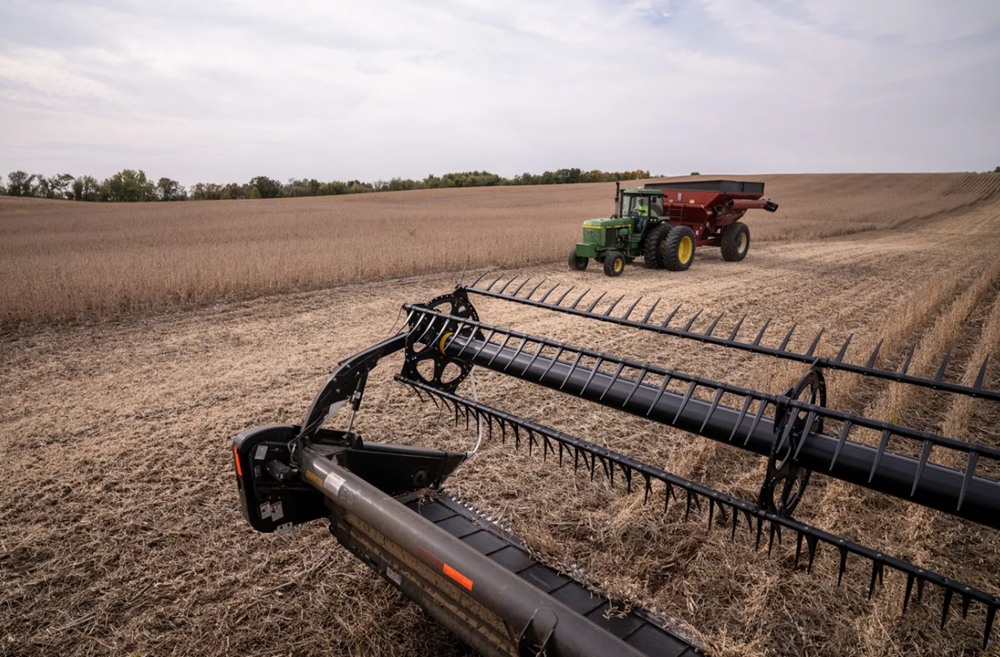 Trung Quốc bất ngờ xuống tiền mua 'đáng kể' một mặt hàng Mỹ, nông dân thở phào - ảnh 1