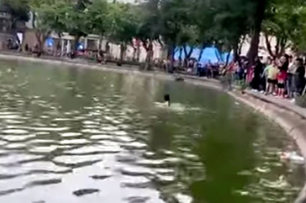 Thông tin chính thức vụ cô gái tử vong bất thường ở hồ Hoàn Kiếm - ảnh 1