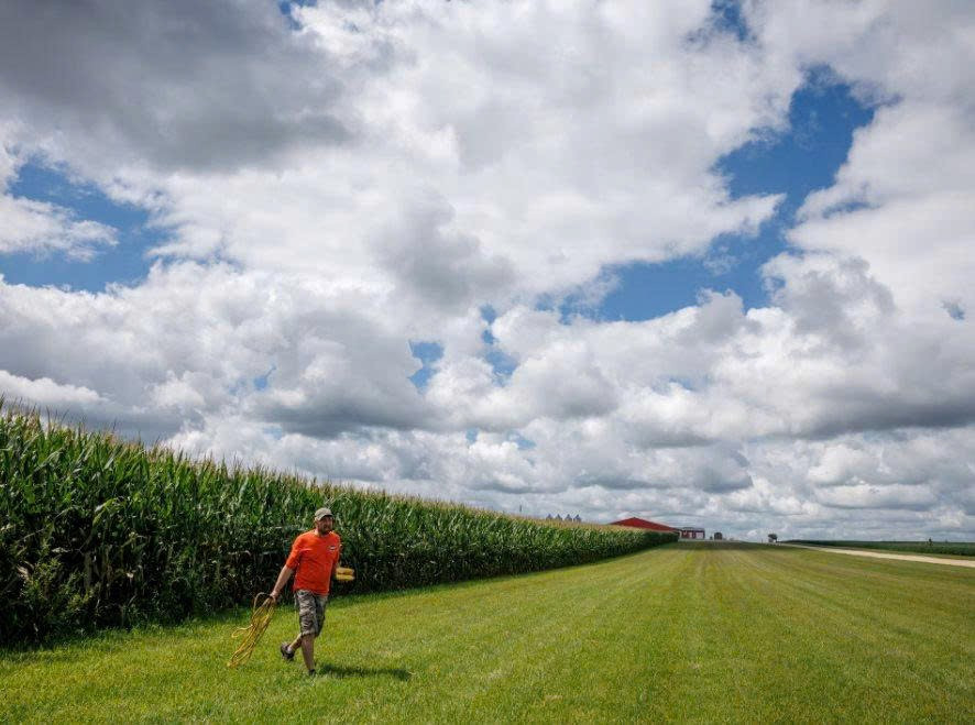 Thu hoạch vụ mùa lớn nhất lịch sử, nông dân Mỹ vẫn ‘trắng tay’ - ảnh 1
