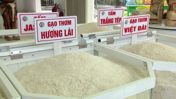 Giá gạo xuất khẩu thấp nhất trong 10 năm, vì sao thị trường bán lẻ trong nước vẫn chưa 'hạ nhiệt' ?