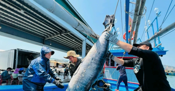 Gỡ thẻ vàng thủy sản: 'Chúng ta không còn chỗ cho sai sót'