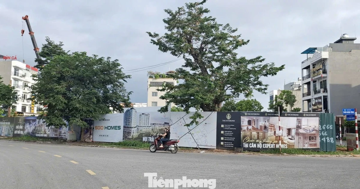 'Choáng' với giá chung cư ở tỉnh lẻ 'nhảy múa' lên đến 80 triệu đồng/m2