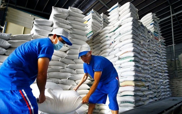 Đề xuất đánh giá tín nhiệm doanh nghiệp xuất khẩu gạo