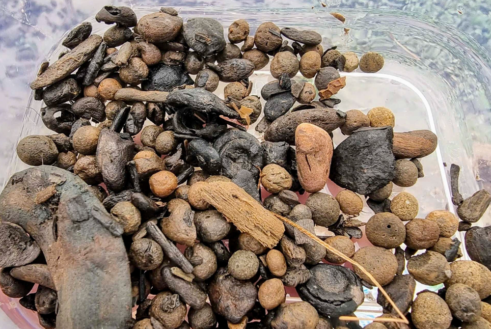 Khai quật khẩn cấp ‘báu vật’ lạ trên diện tích 300m2, phát hiện hình thái chưa từng thấy trên thế giới - ảnh 9