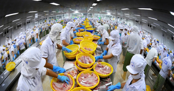 Luật Thuế giá trị gia tăng vừa thi hành đã phát sinh 'điểm nghẽn'