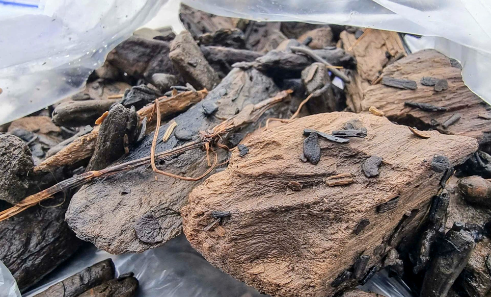 Khai quật khẩn cấp ‘báu vật’ lạ trên diện tích 300m2, phát hiện hình thái chưa từng thấy trên thế giới - ảnh 10