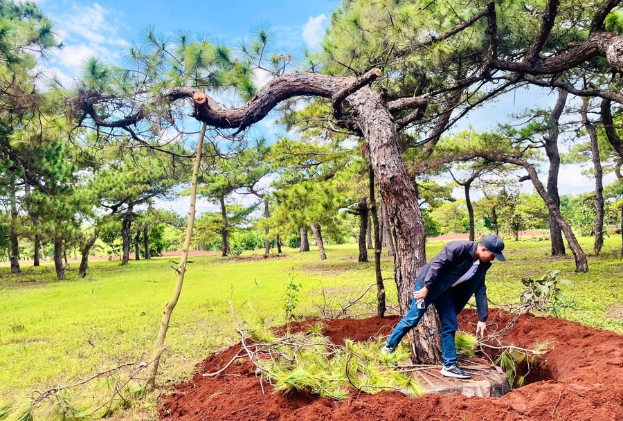 Gia Lai chỉ đạo nóng về dự án 2.800 tỷ của Tập đoàn <a style='text-decoration: none;' href='/FLC'>FLC</a>- Ảnh 1.