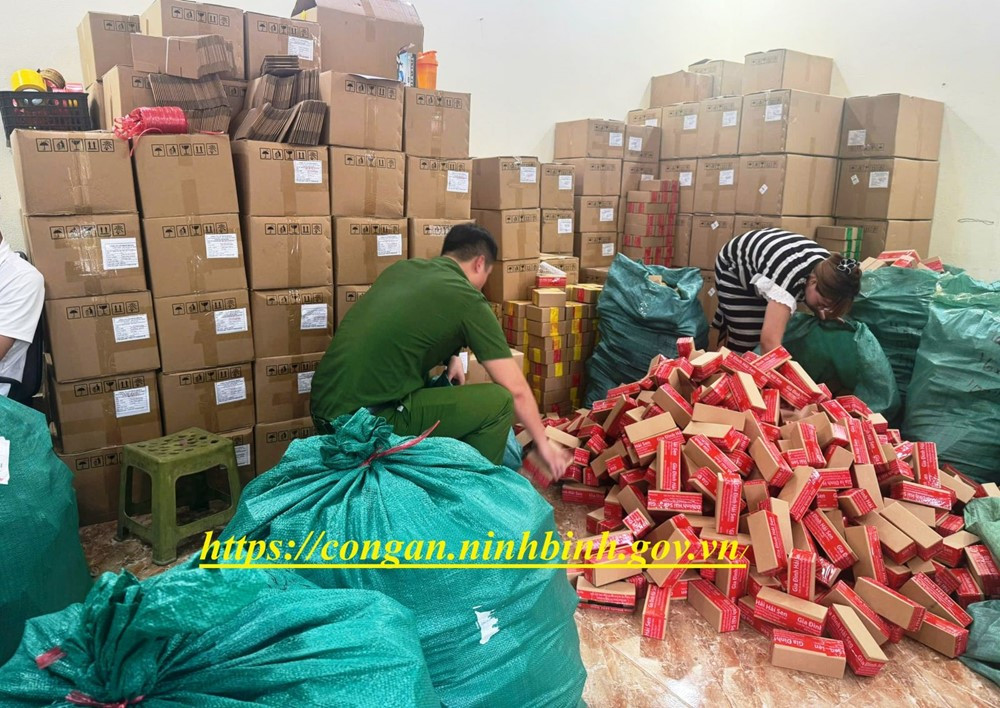 Khởi tố thêm tội danh đối với chủ kênh TikTok 'Gia đình Hải Sen' - ảnh 2