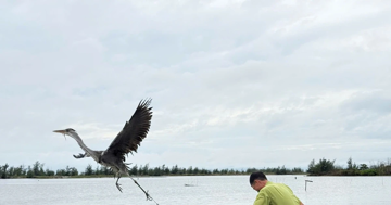 Cao điểm ngăn chặn săn bắt, buôn bán chim hoang dã