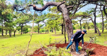 Gia Lai chỉ đạo nóng về dự án 2.800 tỷ của Tập đoàn FLC