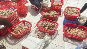 Phát hiện gần 4 tấn chân gà và xúc xích không rõ nguồn gốc